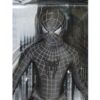 Spiderman 3, Black Outfit