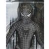 Spiderman 3, Black Outfit