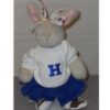 Hoppy, Cheerleading