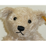 Classic Teddy Bear