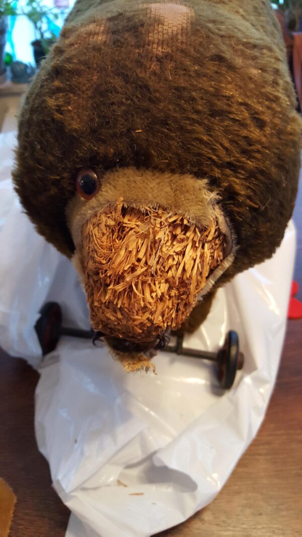 Bear Doll Before Repair
