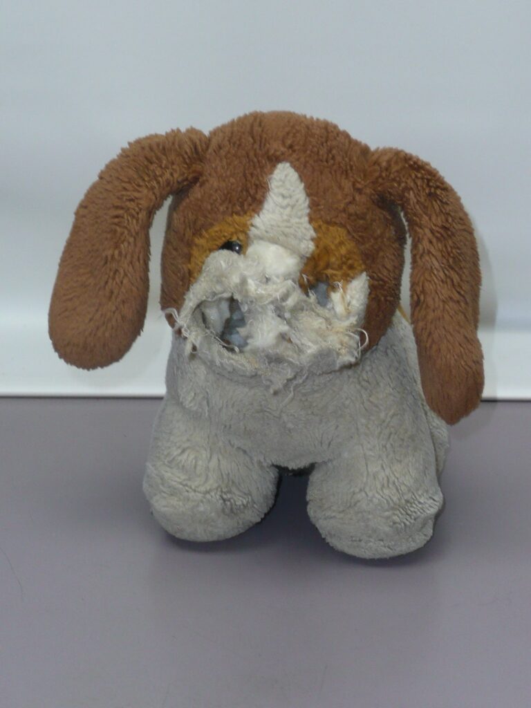 gigi's dolls and sherry's teddy bears