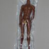 Integrity Monarchs Homme 12.5" Male Fashion Figure Body 1.0, Skin Tone FR Black