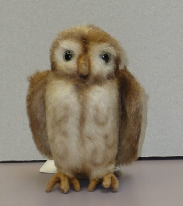 R John Wright Pocket Owl