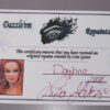 16” OOAK “Phoenix” by Lisa Gates of Dazzle ‘em Repaints Certificate