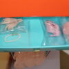 Integrity Poppy Parker Peach Parfait Accessories