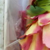 Tonner Ellowyne Wilde Secret Garden Rose - Image 4