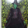 Barbie, Elphaba of Wicked - Image 3