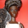 Integrity, Succession Nyasha Lauder - Image 5