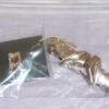 Integrity, Metal Maven Vanessa - Image 11
