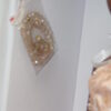 Tonner, Ellowyne Wilde, Neema Charmed I'm Sure AA - Image 7