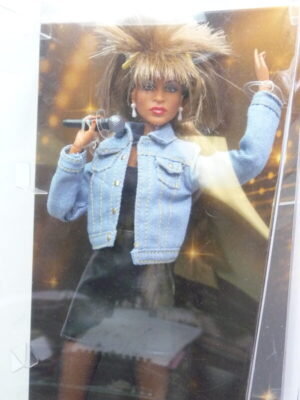 Barbie, Tina Turner