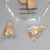 Integrity, Blood Moon Tenzin, Cold Carbon Homme Nude Doll - Image 4